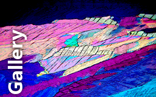 Vista Focus Gallery - Apidic Acid
