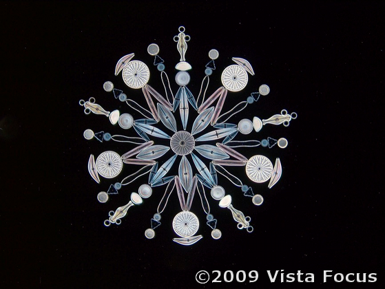 Diatom Exhibit