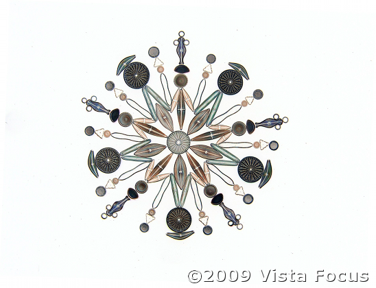 Diatom Exhibit (inverted image)